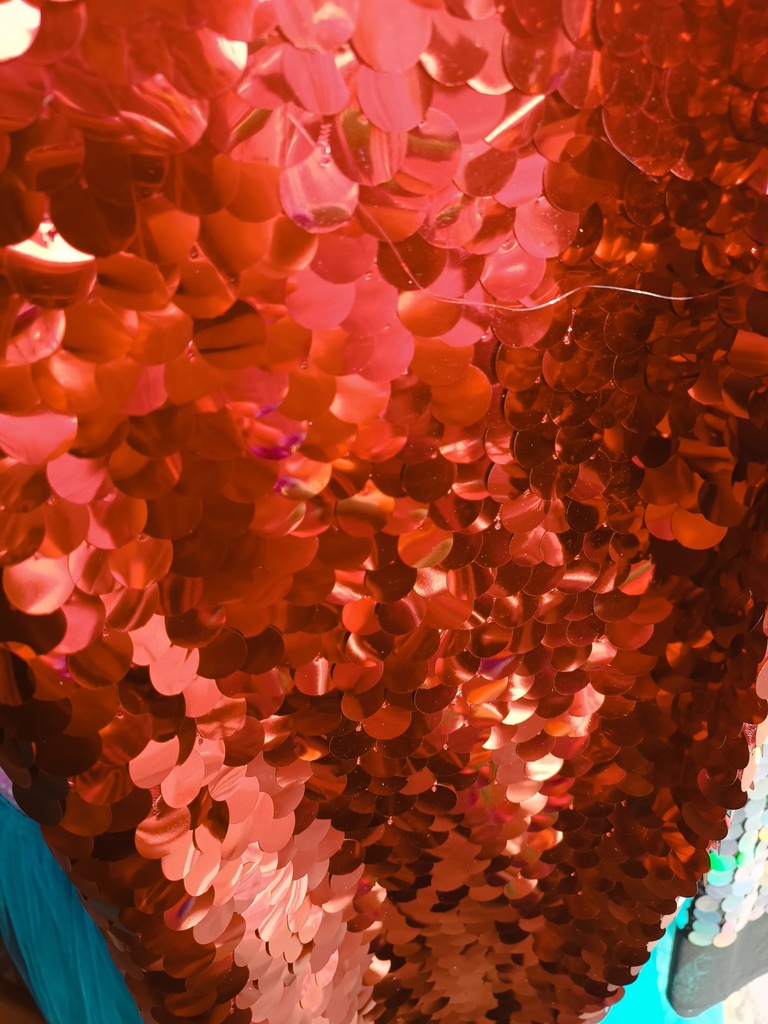 tela lentejuela moneda premium