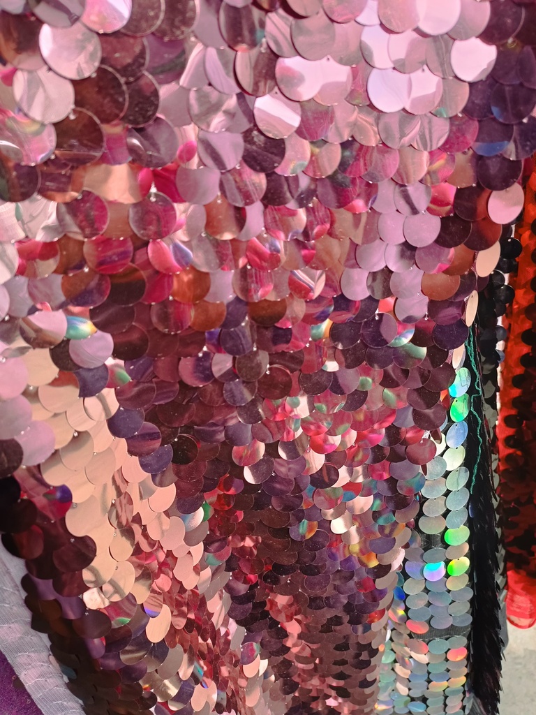 tela lentejuela moneda premium