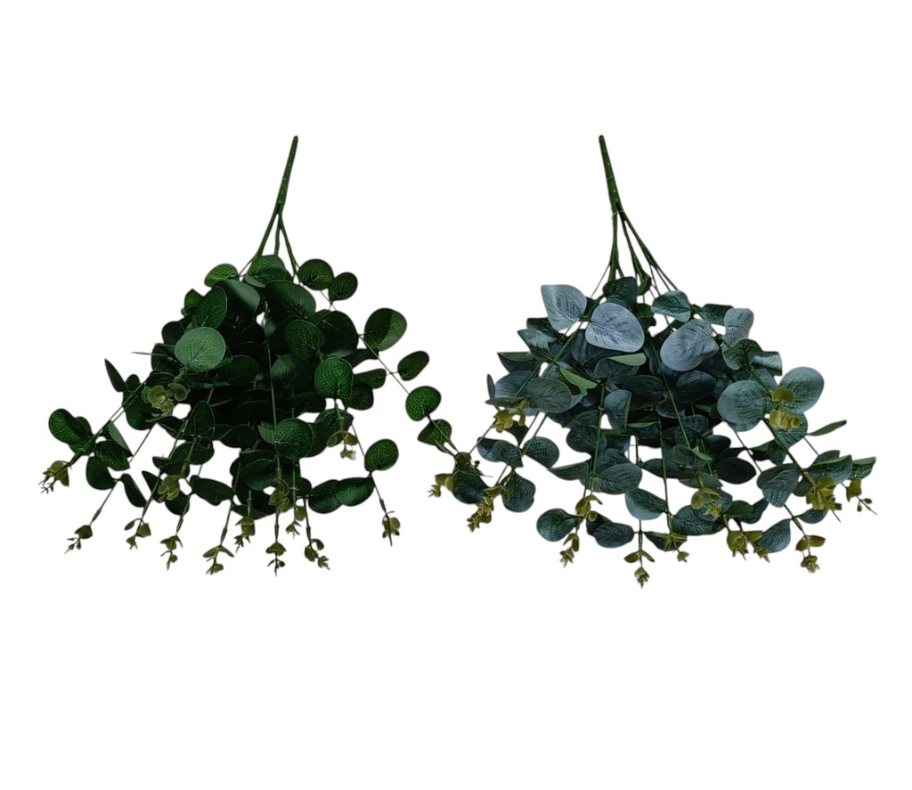 Follajes de eucalito para decoraciones