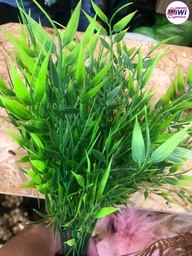 Follajes para decoraciones