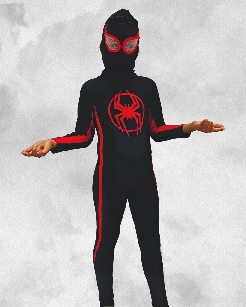 Disfraz del hombre araña