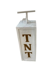 Cubo Rectangular de TNT para Revelación de Género Boy or Girl con Detonador
